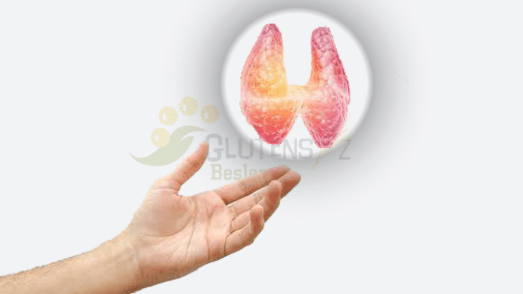 OTOİMMÜN TİROİDHASTALIKLARI GLUTEN İLE İLİŞKİLİ MİDİR?
