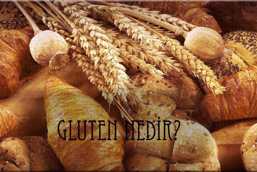 gluten nedir