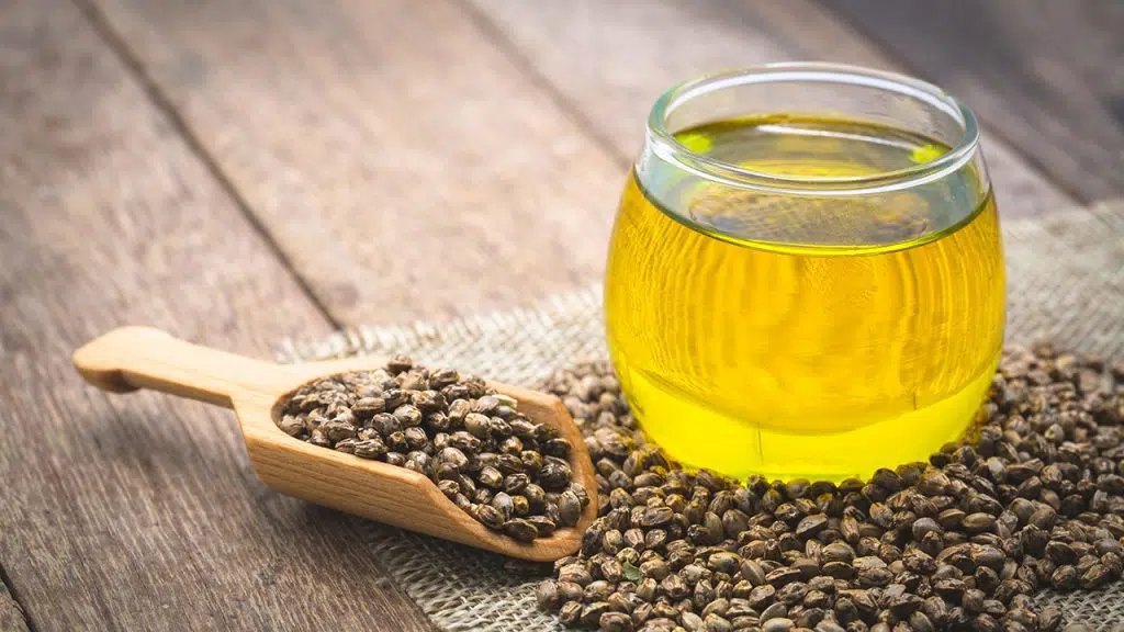 kenevir tohumu yağı