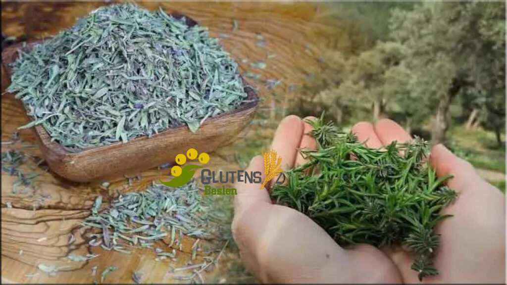 dağ kekiği (zahter)