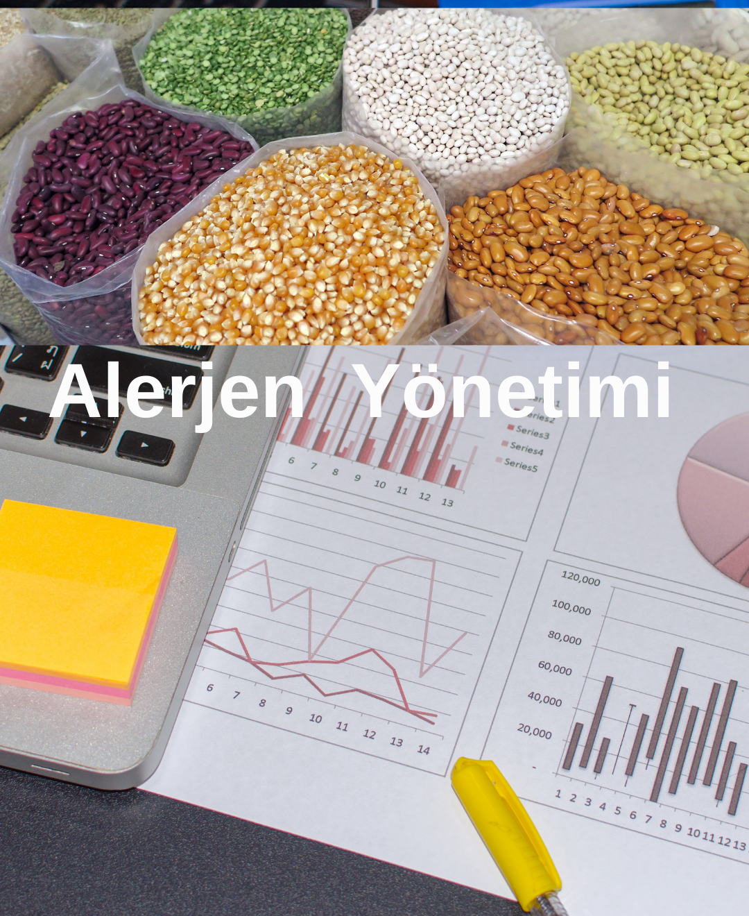 Alerjen Gıdalar  Yönetimi