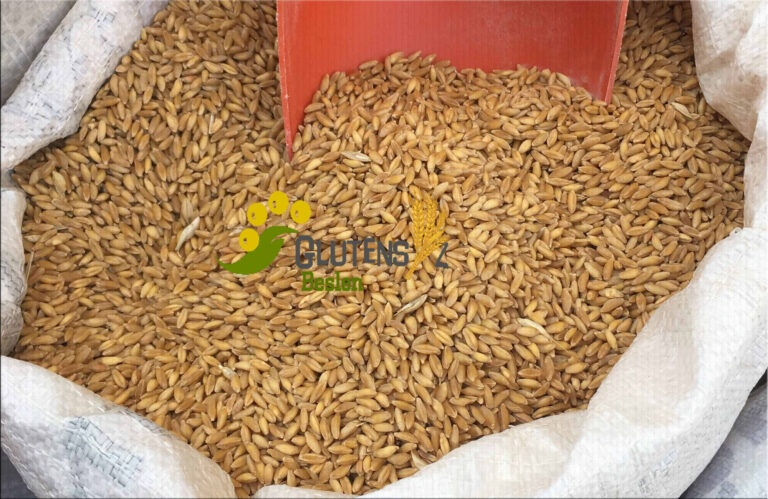 Genetiği değiştirilmemiş buğday türleri nelerdir?